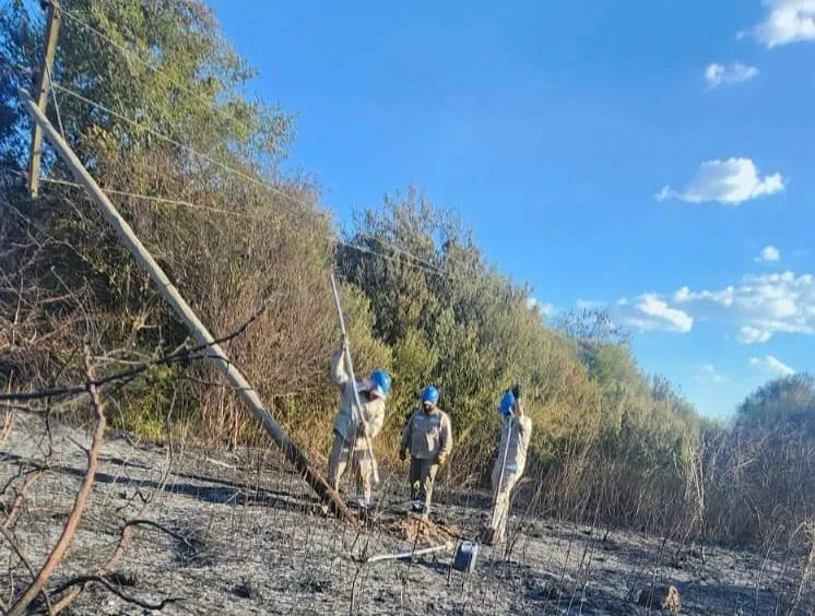 WhatsApp Image 2025-02-11 at 9.05.53 PM