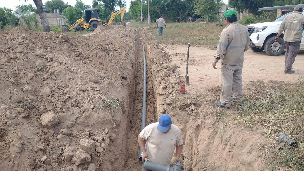 WhatsApp Image 2025-03-16 at 1.04.46 PM