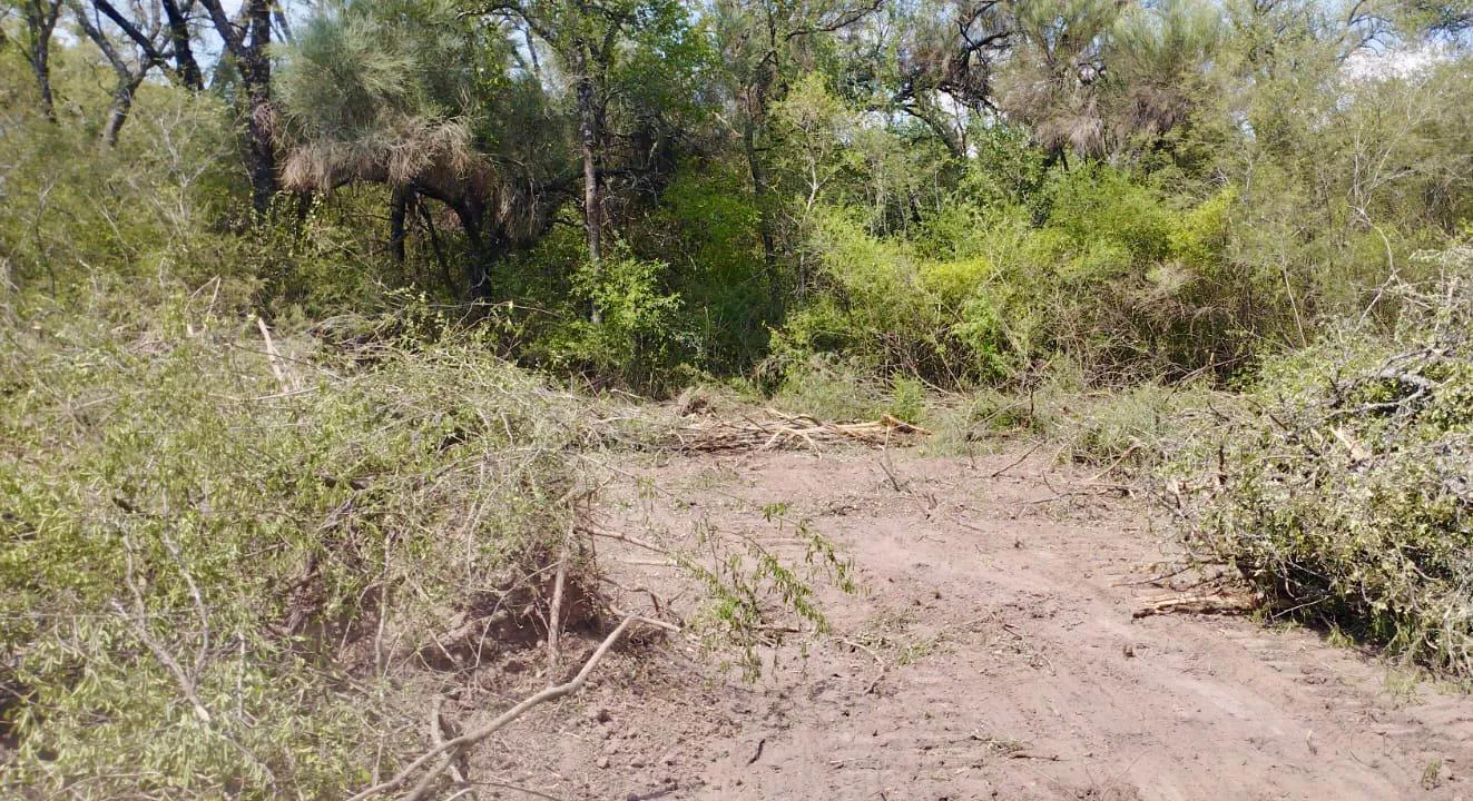 WhatsApp Image 2025-01-20 at 10.01.08 AM