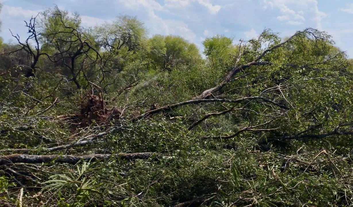 WhatsApp Image 2025-01-20 at 10.00.53 AM