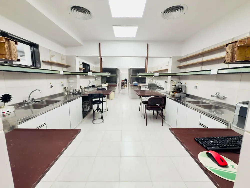 WhatsApp Image 2025-08-26 at 1.56.09 PM